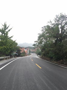 忠縣公路養(yǎng)護(hù)工程順利完成 路橋附屬工程建筑勞務(wù)分包助推項(xiàng)目建設(shè)